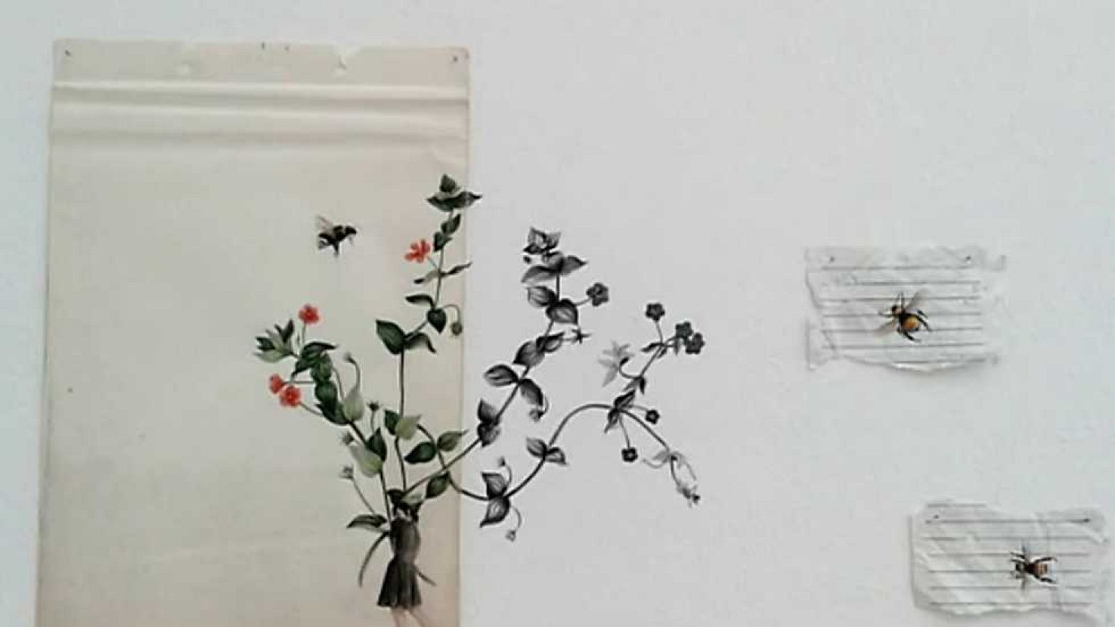 La aventura del saber - 03/11/16 - ver ahora