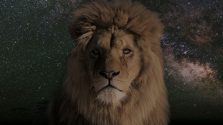 Grandes documentales - Una noche en la Tierra: África 2