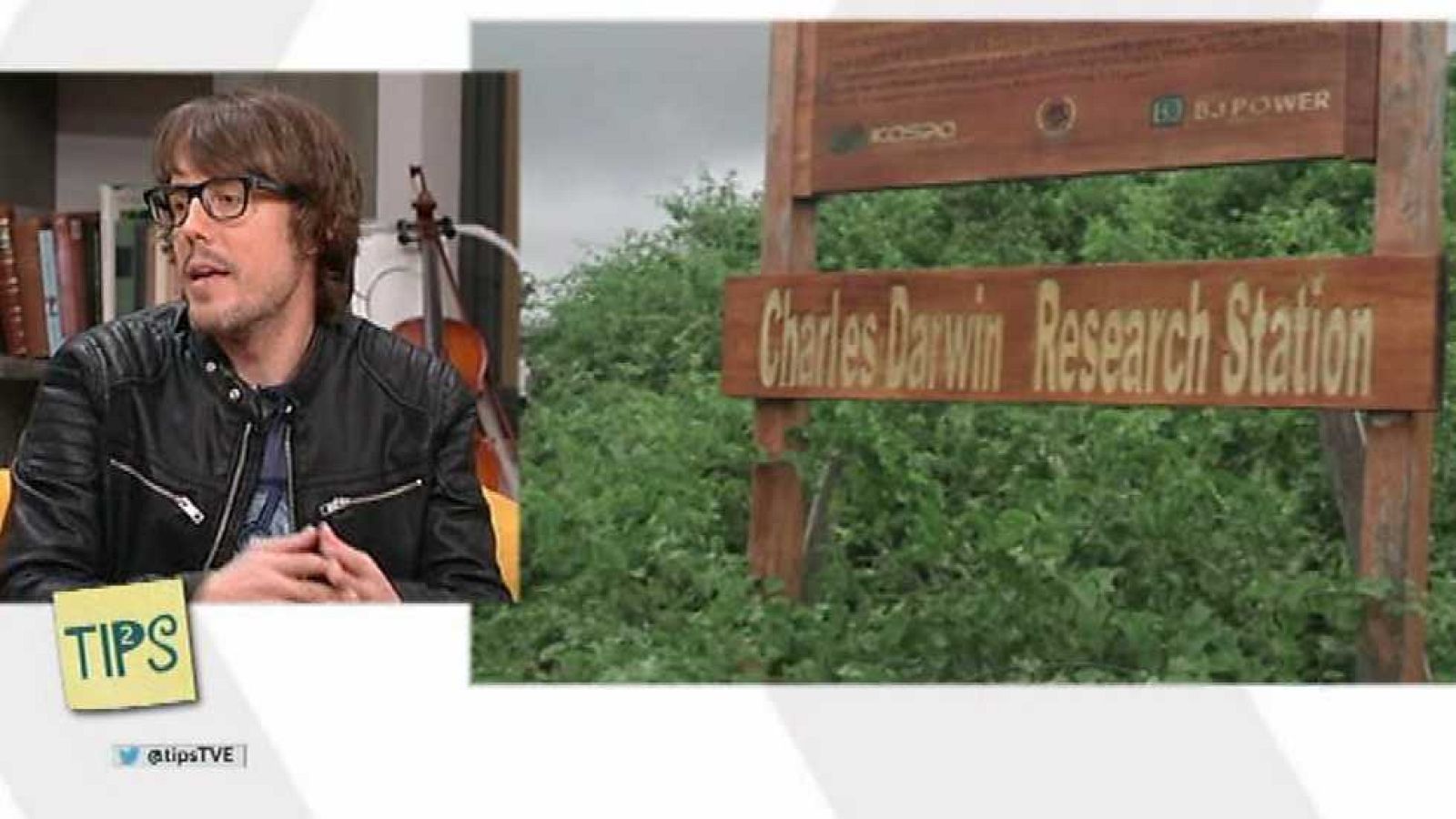 Tips - 03/11/16 - ver ahora