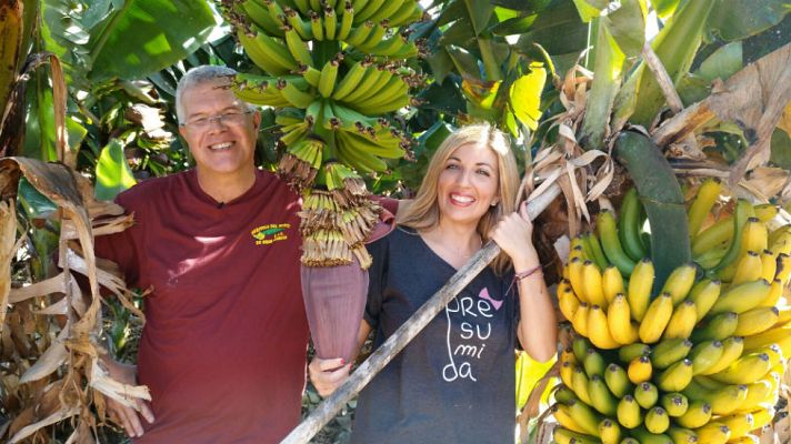 Aquí la Tierra - Unos plátanos muy mini