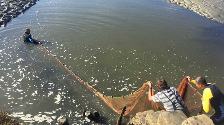 Aquí la Tierra - Aquí la Tierra - 03/11/16