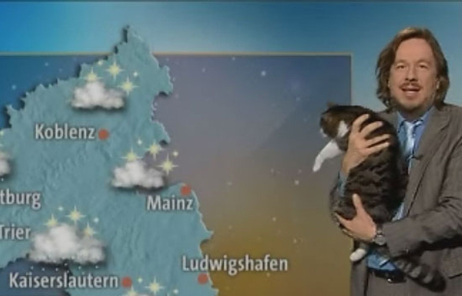 En Alemania un gato se cuela en el estudio del informativo mientras el meteorólogo comenta el tiempo | Ver