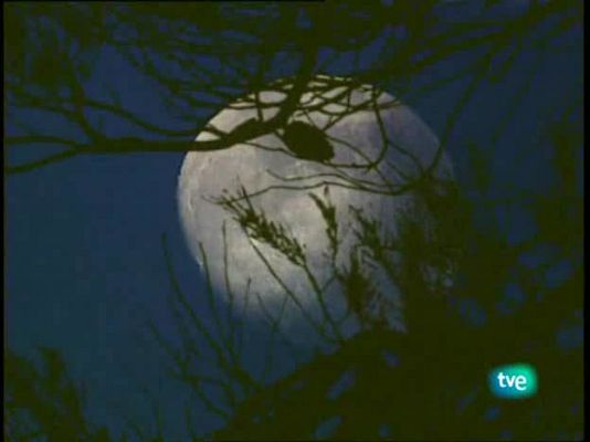 Jara y sedal - La cuna del lobo