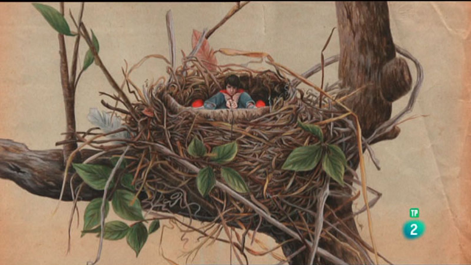 La Aventura del Saber. Serie 'Boek Visual'. Tamara Feijoo