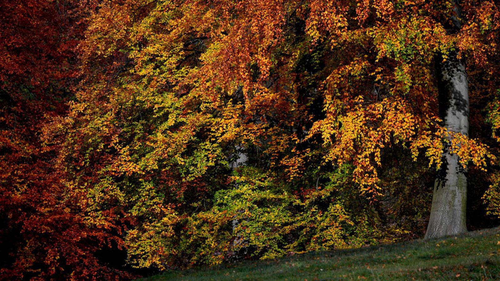Lluvia persistente y descenso térmico