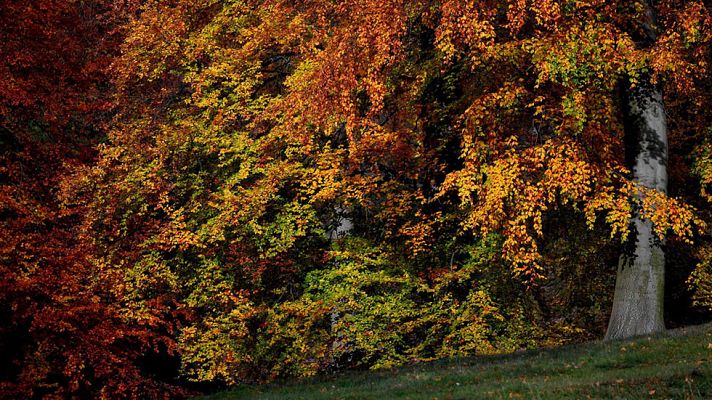 El tiempo - Lluvia persistente y descenso térmico