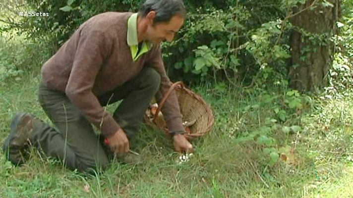 La aventura del Saber - La aventura del saber - 07/11/16