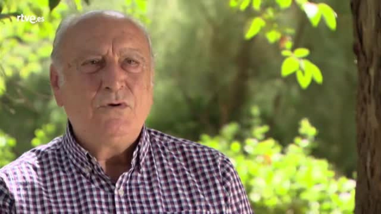 José Palacio. El circo, espectáculo cultural y medio de vida