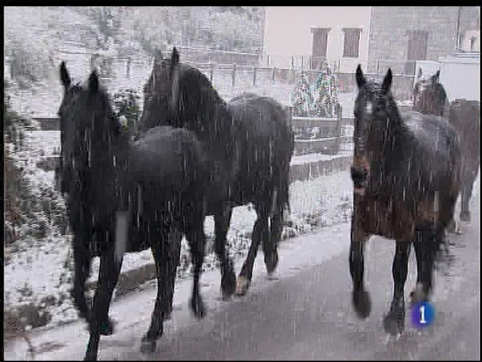 El tiempo en Asturias - 07/11/16 | Ver