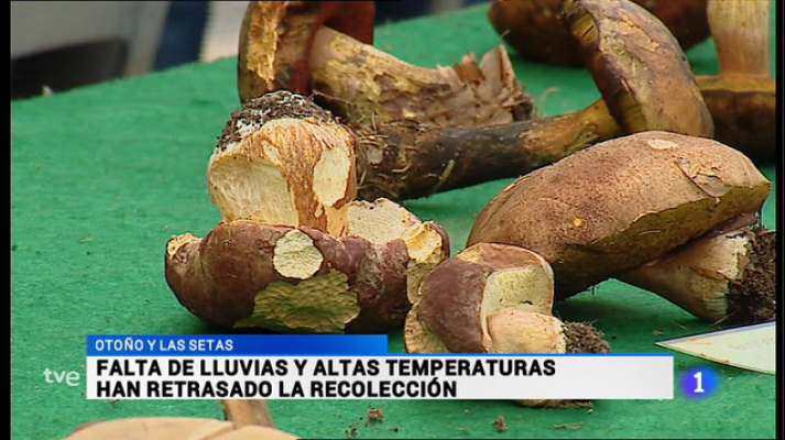 Informativo Telerioja - Informativo Telerioja 2 - 07/11/16