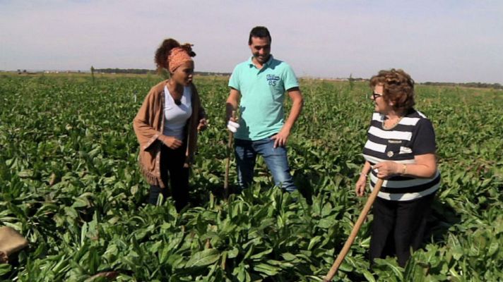 Aquí la Tierra - El antiguo café de pobre