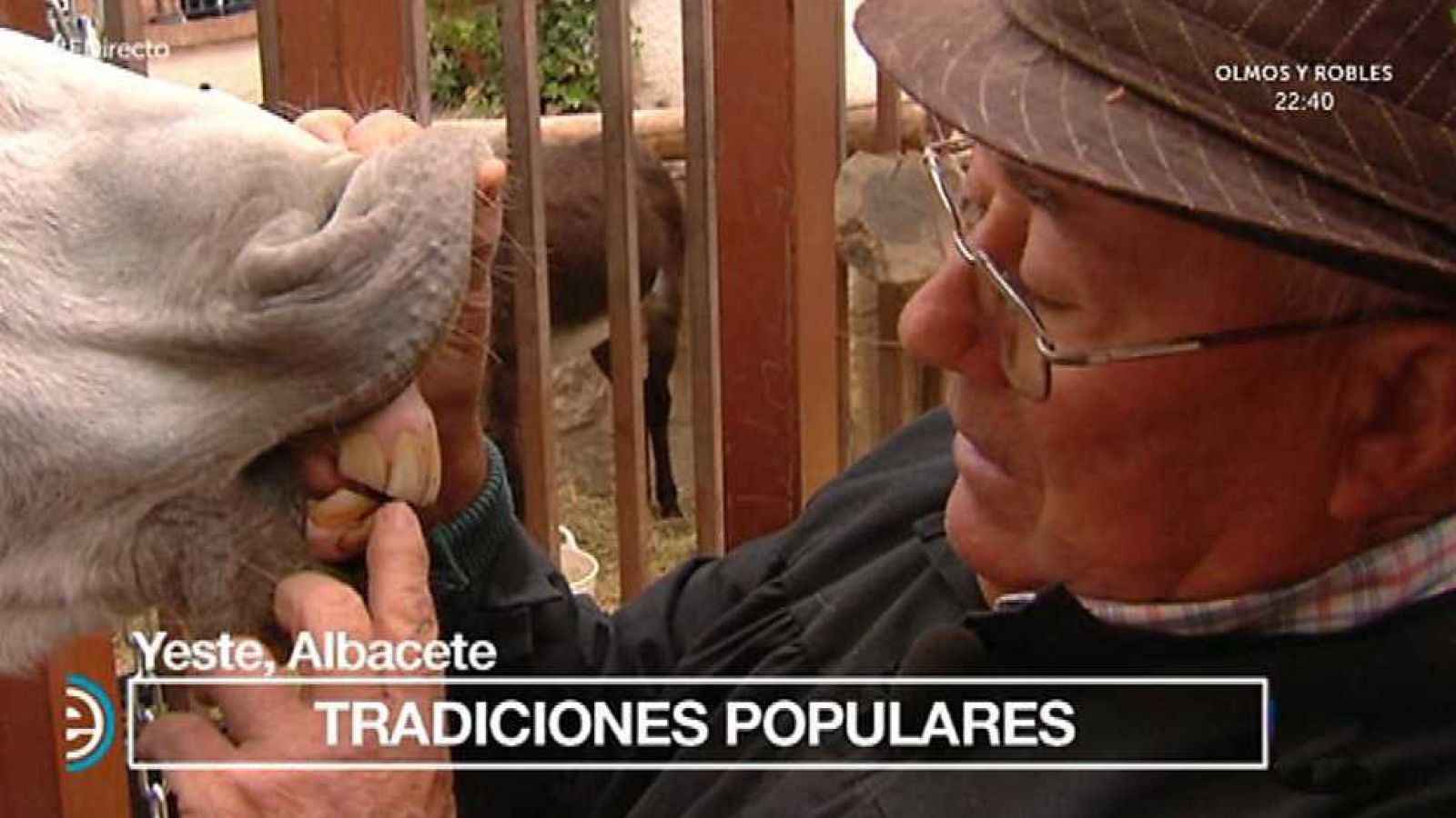 España Directo - 07/11/16 - ver ahora