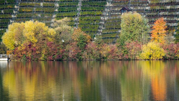 Informativo de Madrid - El Tiempo en la Comunidad de Madrid - 08/11/16