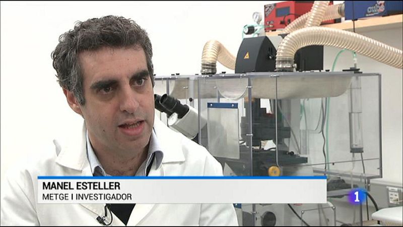 L'Informatiu 2 - 08/11/2016