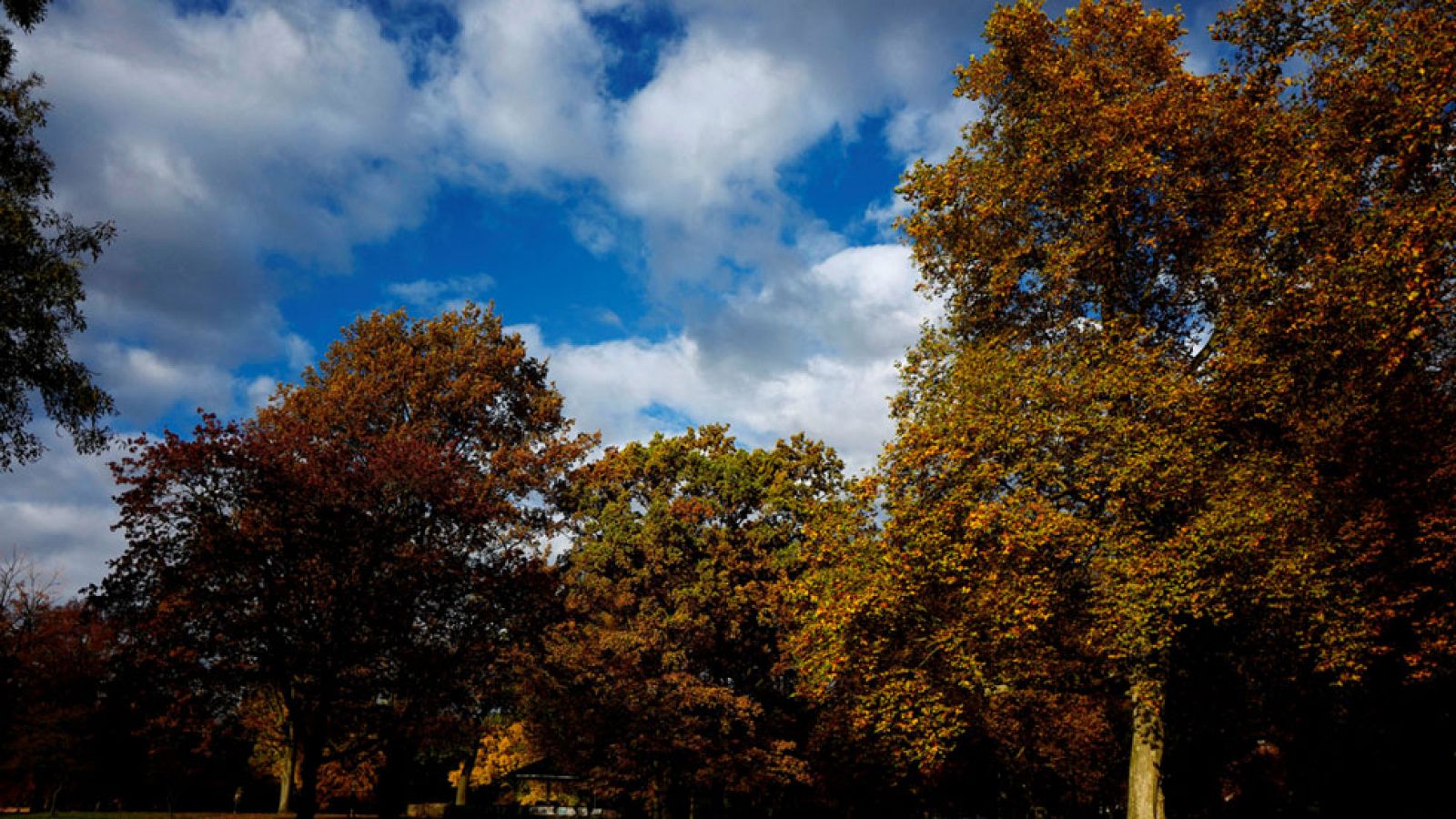 Ascenso de temperaturas y lluvias persistentes y locales en el norte