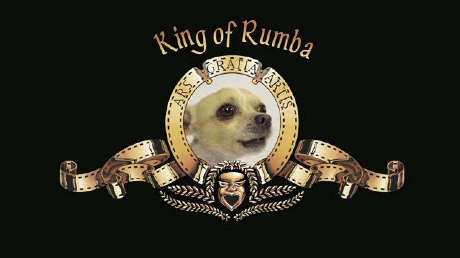 Xavier Cugat "Sexo, maracas y chihuahuas" - trailer