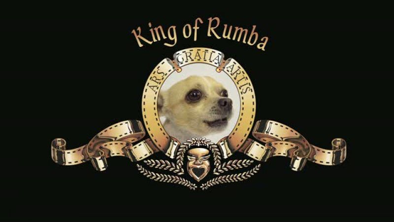 Xavier Cugat "Sexo, maracas y chihuahuas" - trailer