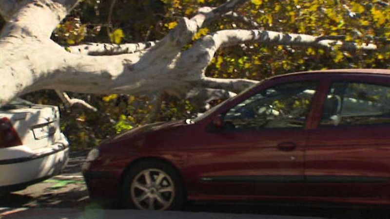Las tres provincias de Aragón están en aviso amarillo por rachas de viento de hasta 70 km/h