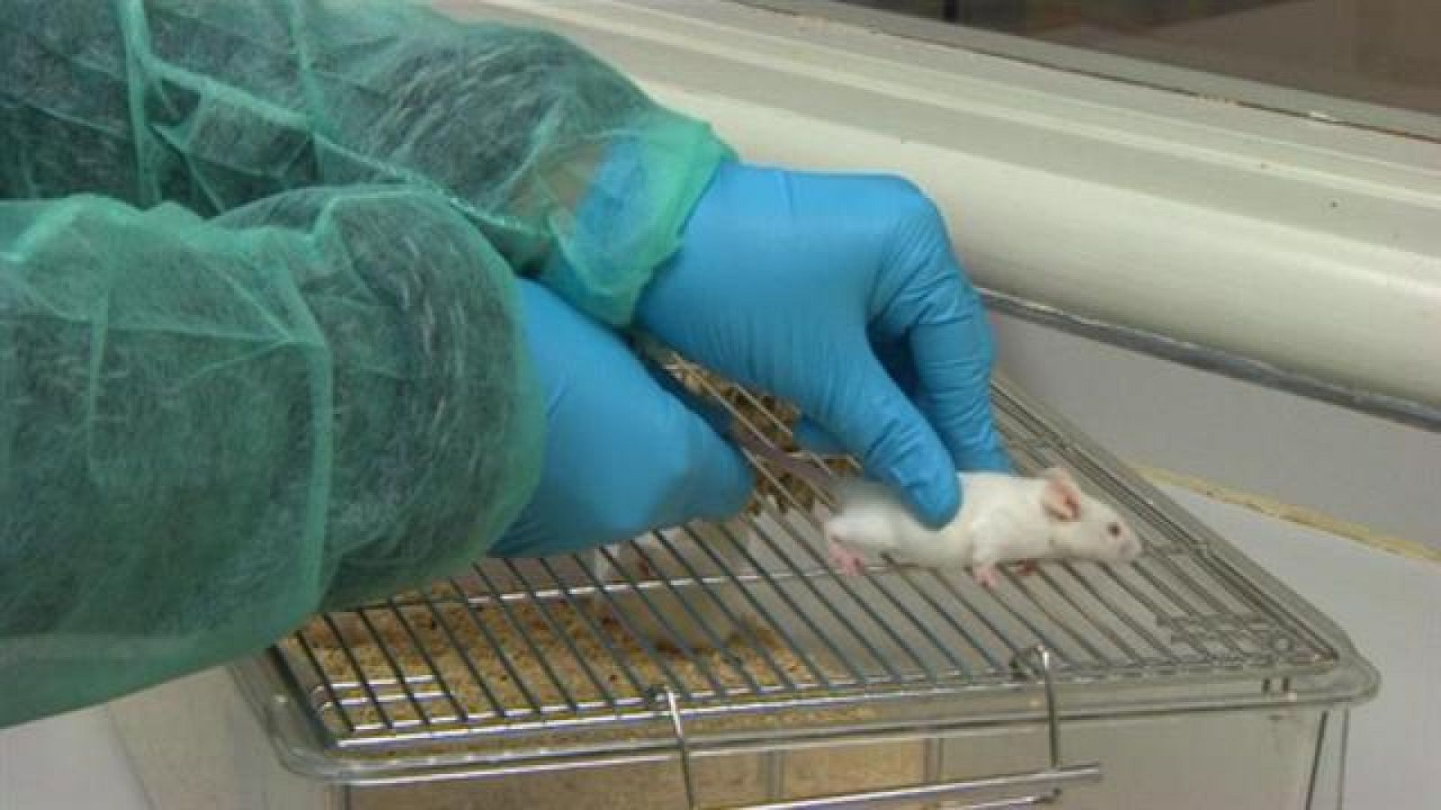 Canarias en 2' - 09/11/2016