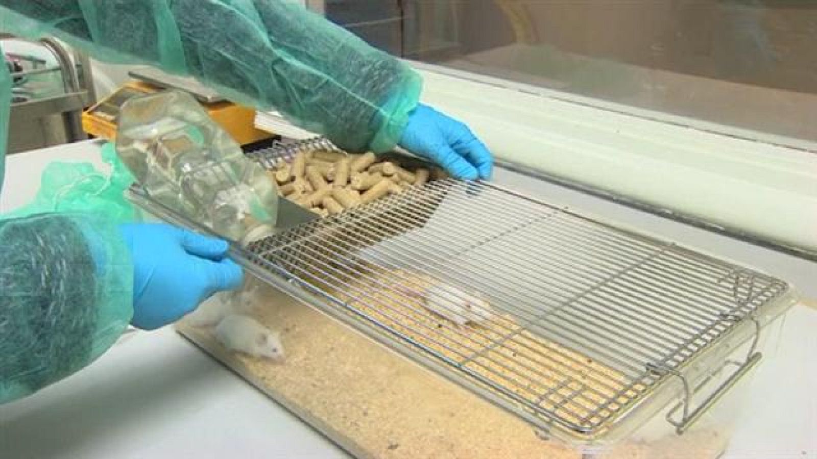 Telecanarias - 09/11/2016