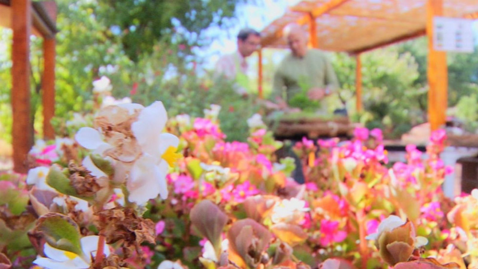 Un jardín para enanitos