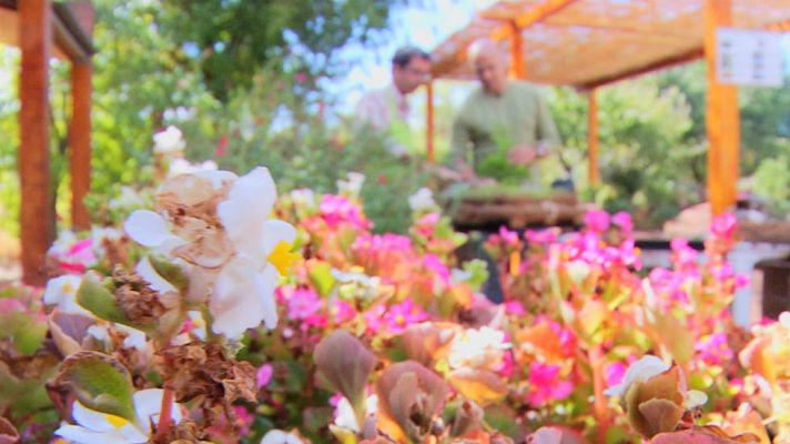 Aquí la Tierra - Un jardín para enanitos