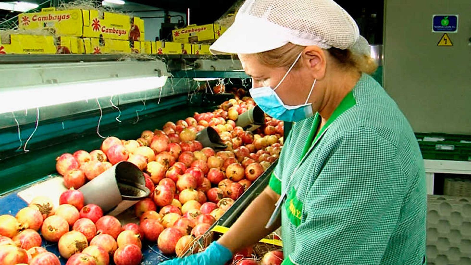 Comando Actualidad - La extra de otoño - ver ahora