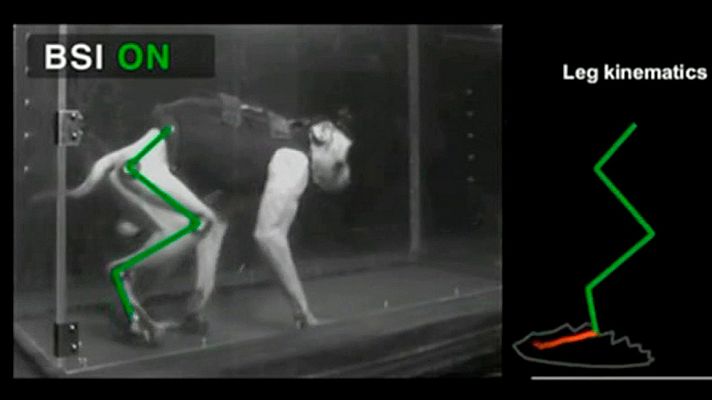  - Monos paralizados vuelven a caminar con una nueva interfaz