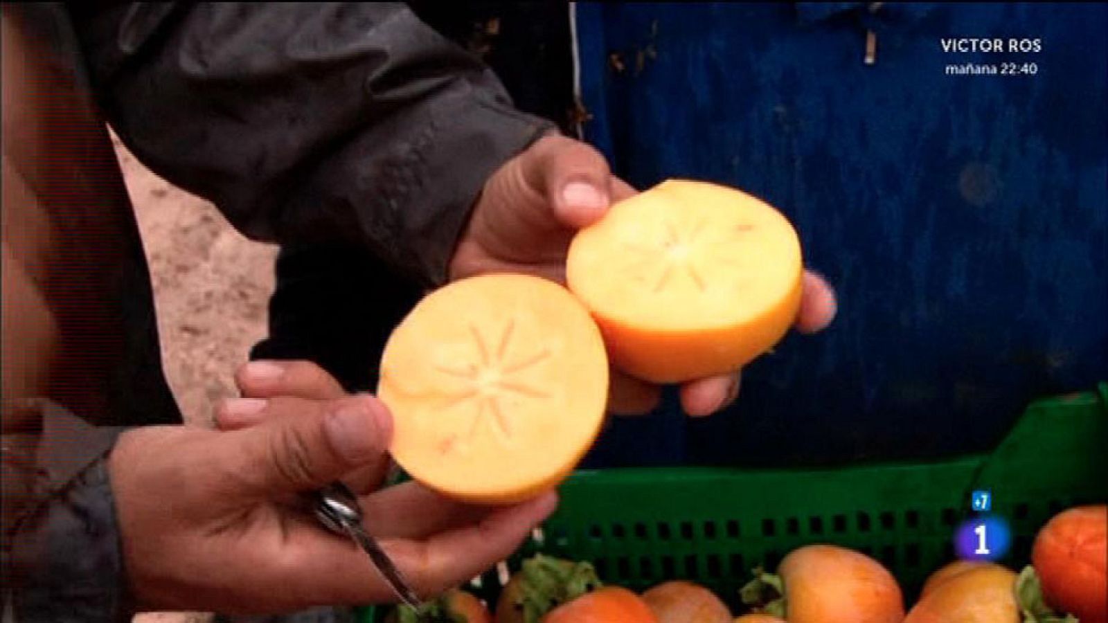 Comando Actualidad - La extra de otoño - La revolución del caqui