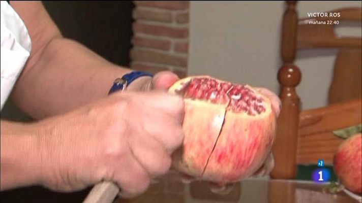 Comando Actualidad - La extra de otoño - La tierra de las g