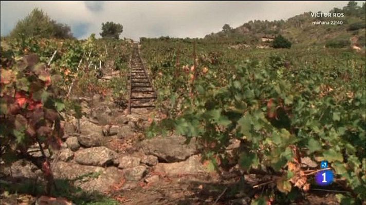 Comando Actualidad - La extra de otoño - Un vino de héroes