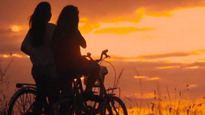 NCI Noticias - NCI Noticias - 11/11/16