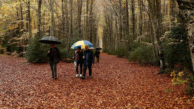 Lluvias localmente fuertes en el oeste y noroeste de Galicia