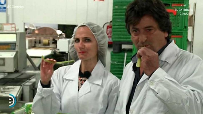 España Directo - España Directo - 11/11/16