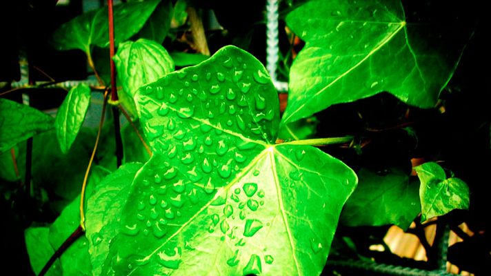 El tiempo - Lluvias generalizadas en el área cantábrica