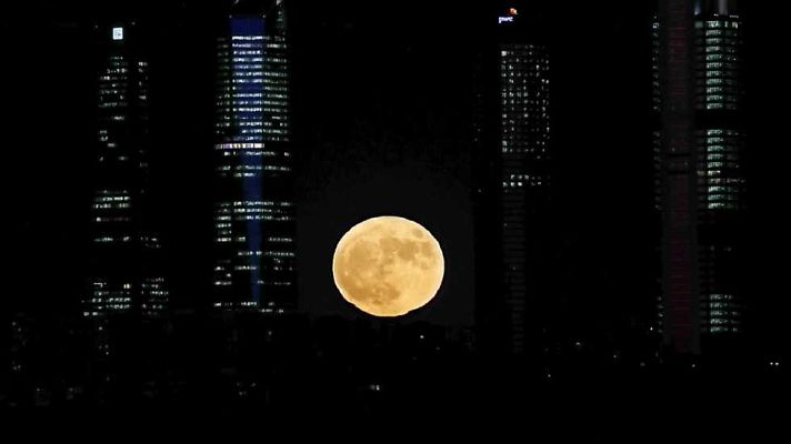 España Directo - España Directo - 14/11/16