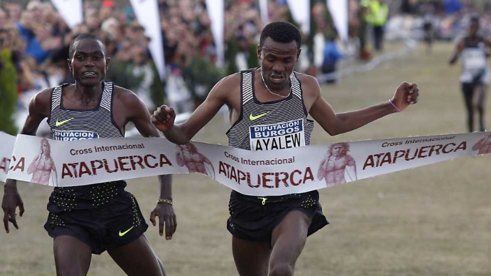 Conexión Tdp (2) - 14/11/16 - ver ahora