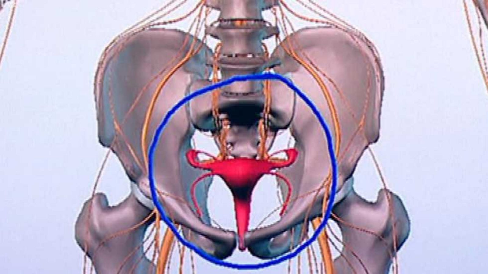 La Mañana - 15/11/16 - ver ahora
