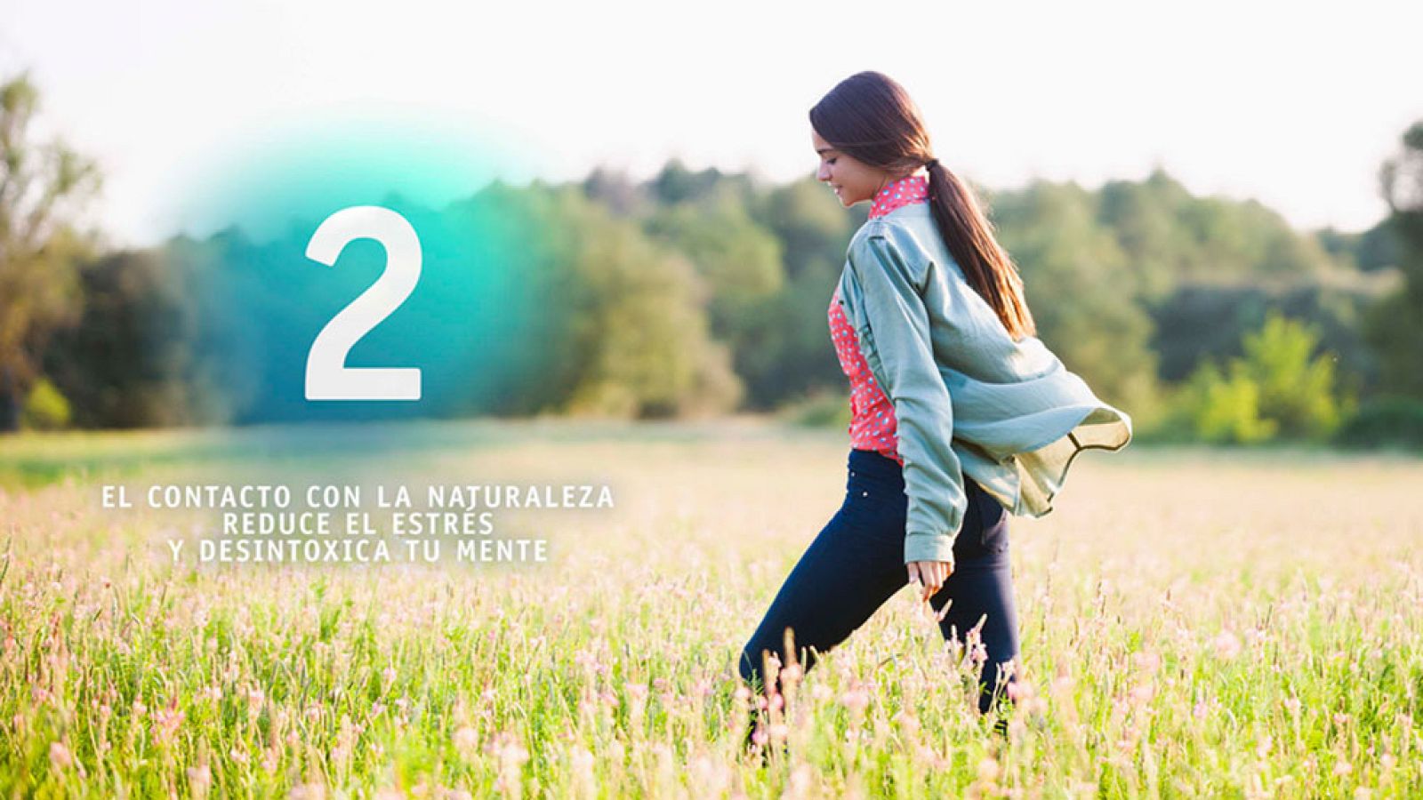 La 2 cumple 50 años