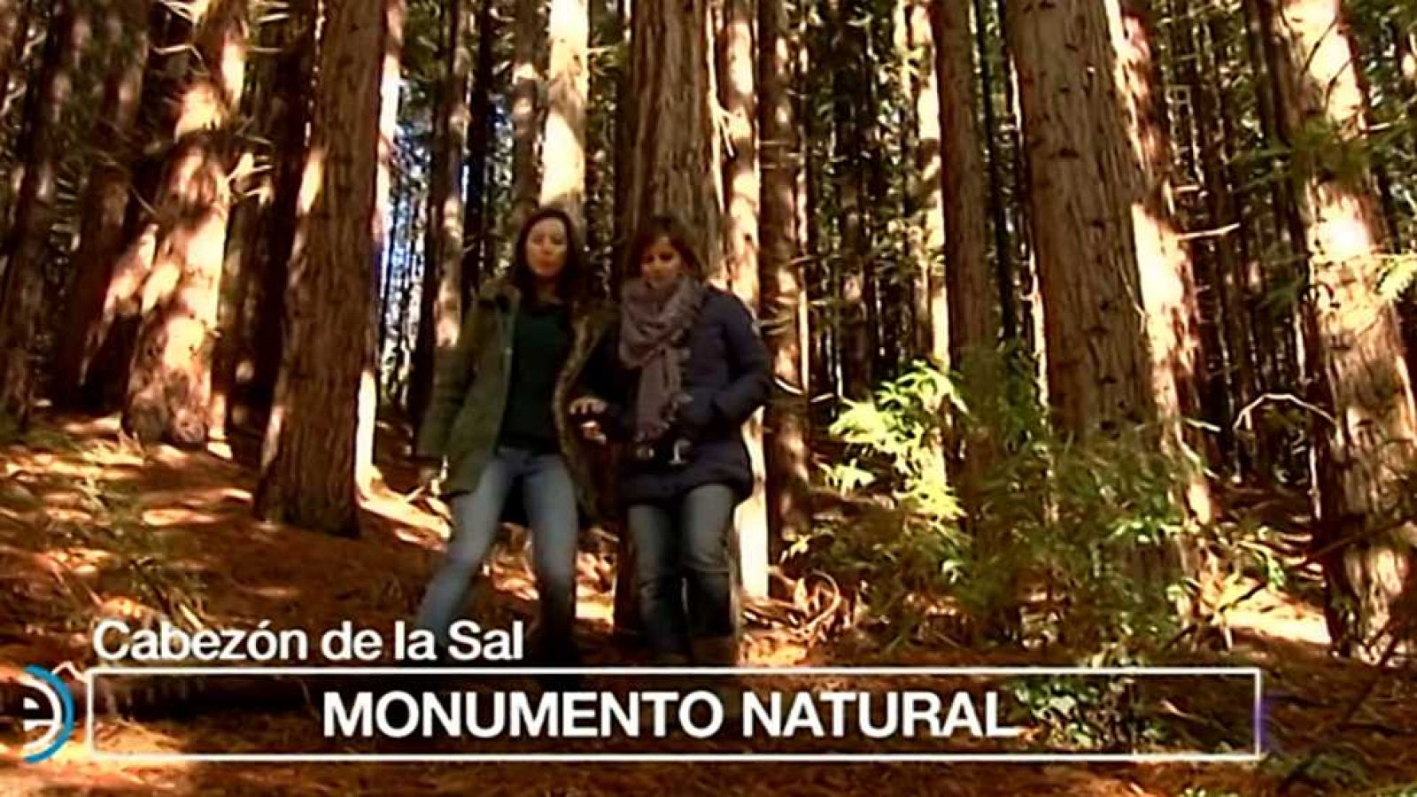 España Directo - 15/11/16 - ver ahora