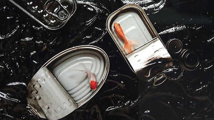 La 2 Noticias - La 2 Noticias - 15/11/16