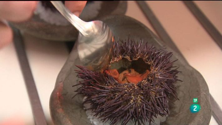 La aventura del Saber - Sección 'Jefes de cocina'. Gonzalo Pañeda