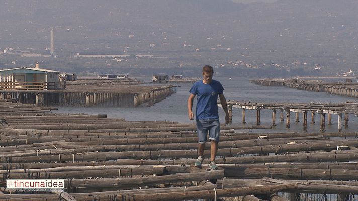 Tinc una idea - Sake al Delta, estilisme masculí  i 'low cost' - Avanç