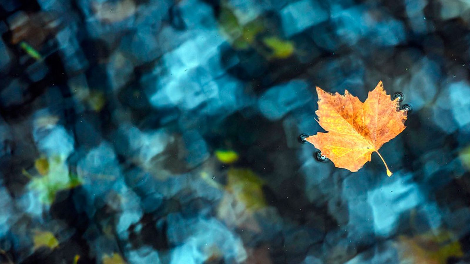 Suben las temperaturas en el Cantábrico, centro y este