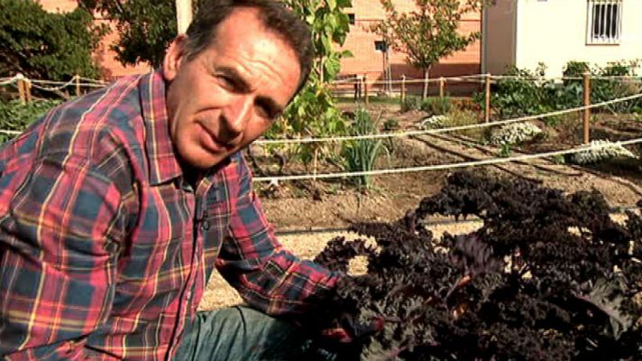 Aquí la Tierra - Kale para rato