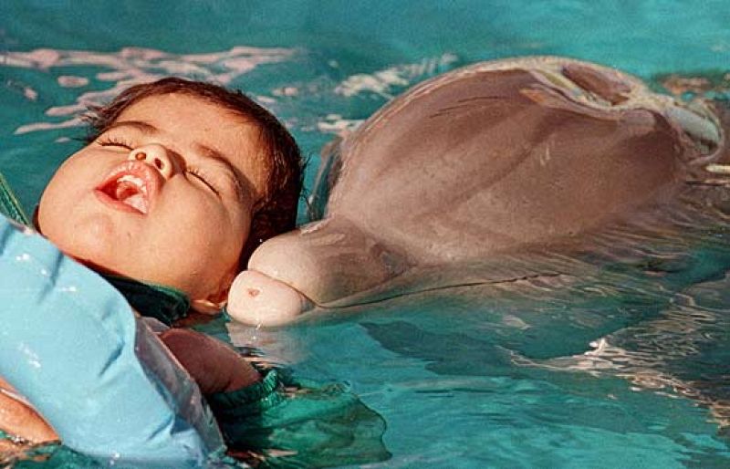 Genoma, una salida al autismo - Ciencia y tecnología en Rtve.es | Ver