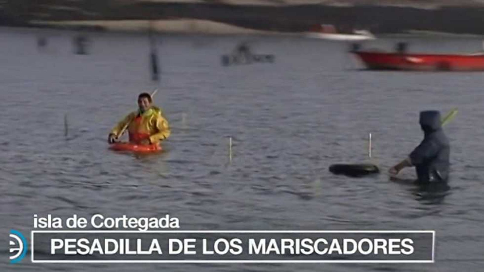 España Directo - 17/11/16 - ver ahora