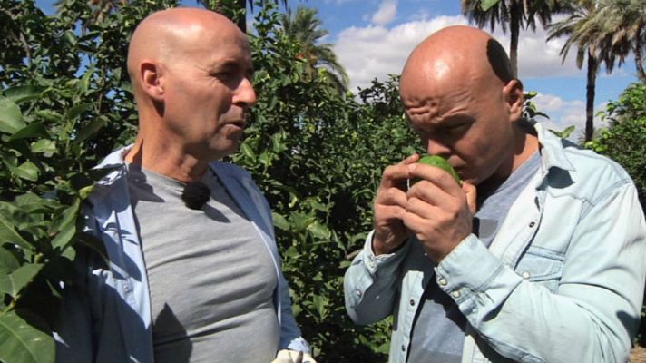 Aquí la Tierra - ¡Estos cítricos son primos hermanos!