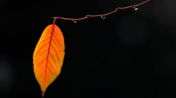 El tiempo - Temperaturas en descenso en la mitad noroeste peninsular