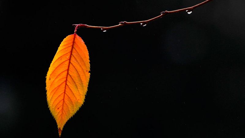 Temperaturas en descenso en la mitad noroeste peninsular